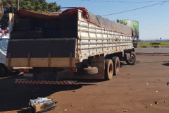 PCPR apreende cigarros paraguaios durante ação conjunta em Santa Terezinha do Itaipu