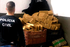 PCPR apreende cerca de 7,7 toneladas de maconha em quatro dias