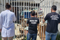 PCPR realizou ações em combate aos maus-tratos e crimes ambientais