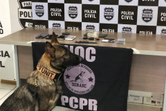PCPR prende suspeito de repassar drogas e celulares para detentos de Francisco Beltrão