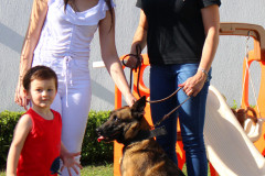 PCPR seleciona adotante da cadela policial Shiva