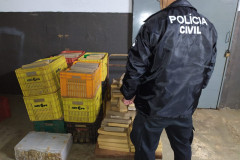 PCPR apreende 476 quilos de droga em Foz do Iguaçu