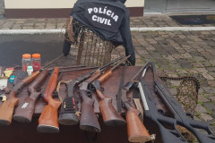 PCPR apreende 11 armas em ação de combate a crimes ambientais em Bituruna