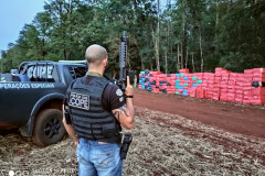 PCPR apreende mais de 400 mil maços de cigarros em operação da PF no Oeste do Estado