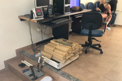 PCPR apreende 40 quilos de maconha e 75 pontos de LSD no Norte do Paraná
