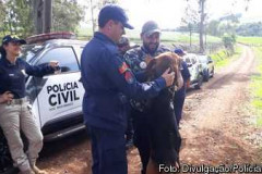 PCPR participa de seminário com cães voltado a busca de pessoas através de odor específico