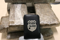 PCPR prende três suspeitos de roubo em Telêmaco Borba