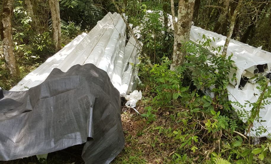 Chapas de alumínio entre arbustos