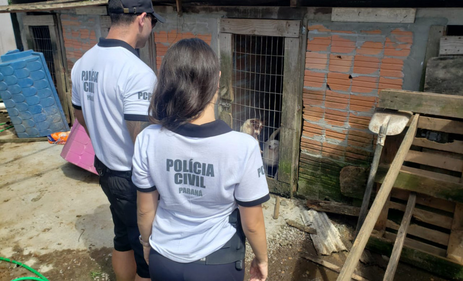 Operação Verão Maior