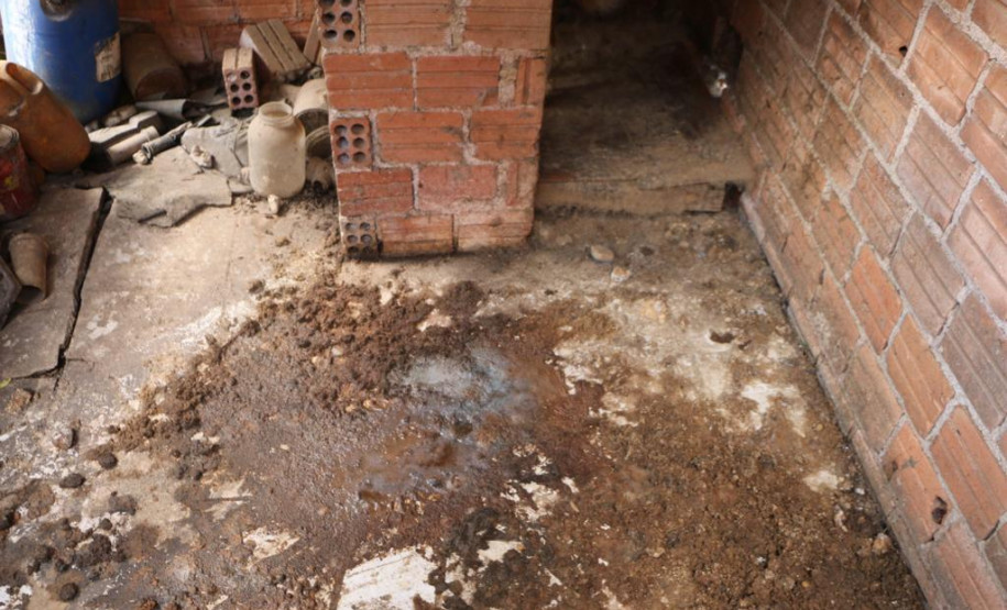 Local onde o animal estava vivendo.