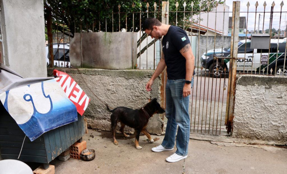 Animal sendo resgatado.