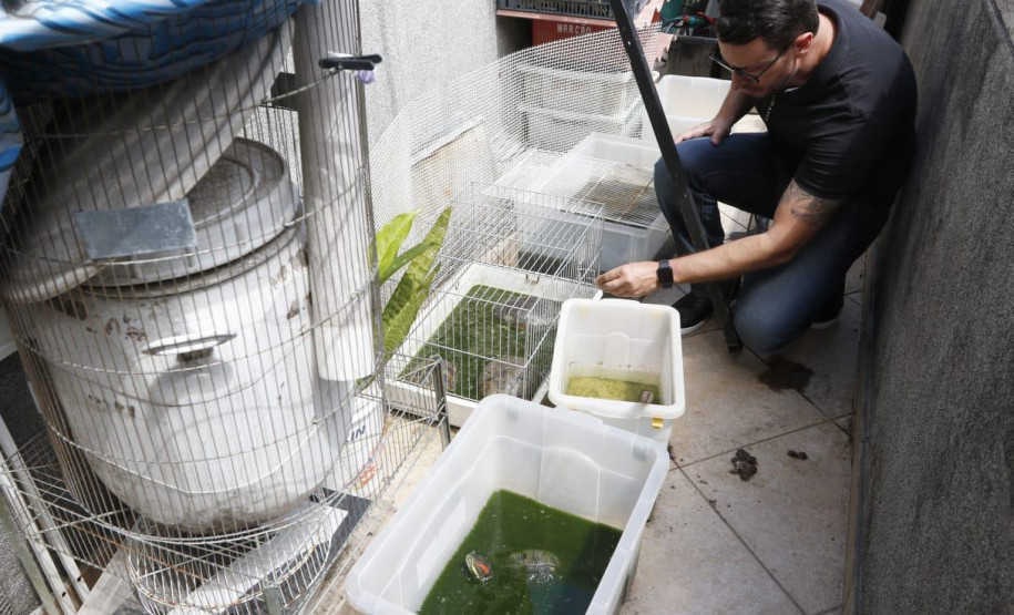 Policial averiguando animais em gaiolas