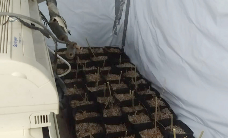 Diversos vasos sobre o chão, com talos enfiados, e uma máquina de ar condicionado