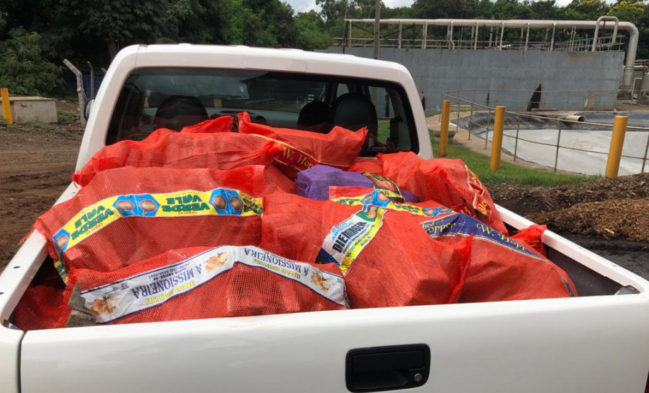 Drogas embaladas no interior de carroceria de veículo