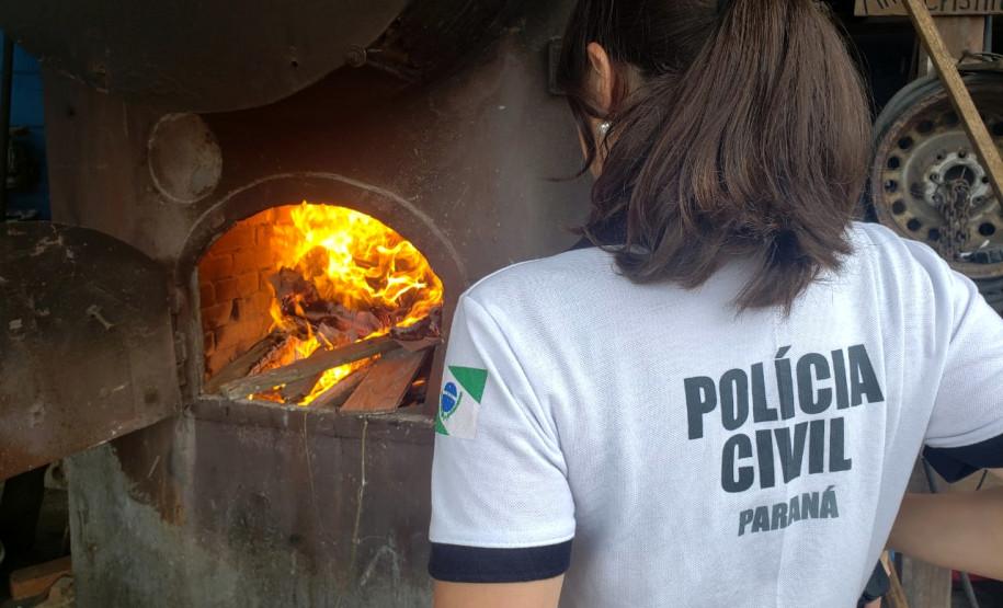 Policial civil observa drogas sendo incineradas