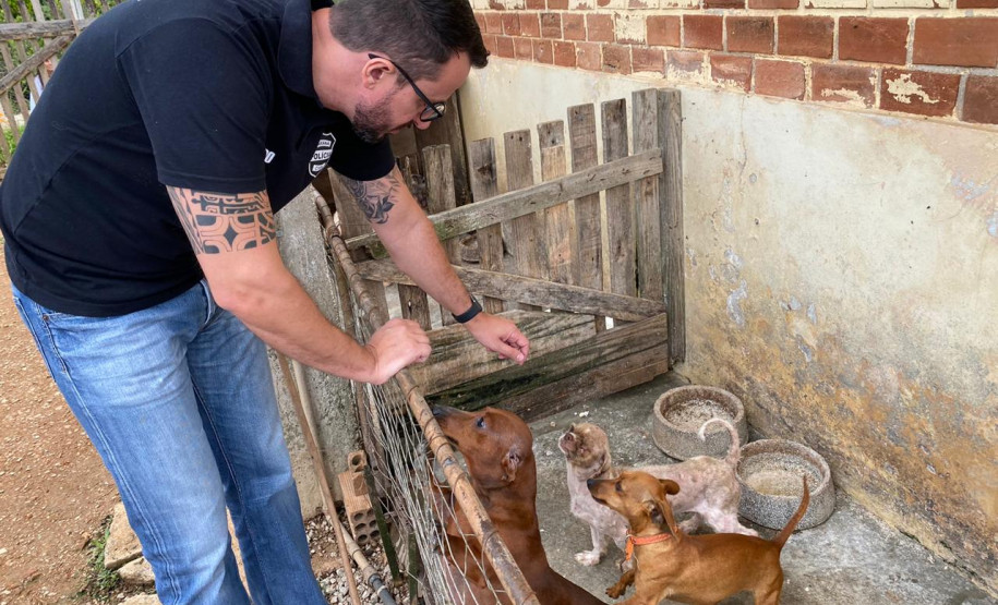 Policial civil observa diversos cães em situação de maus-tratos