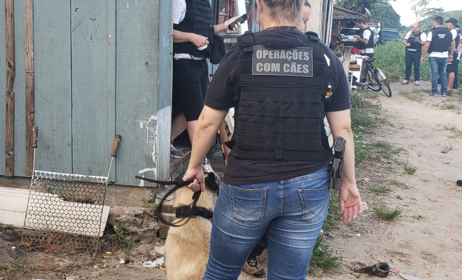 Policiais e cão da polícia civil investigando o local