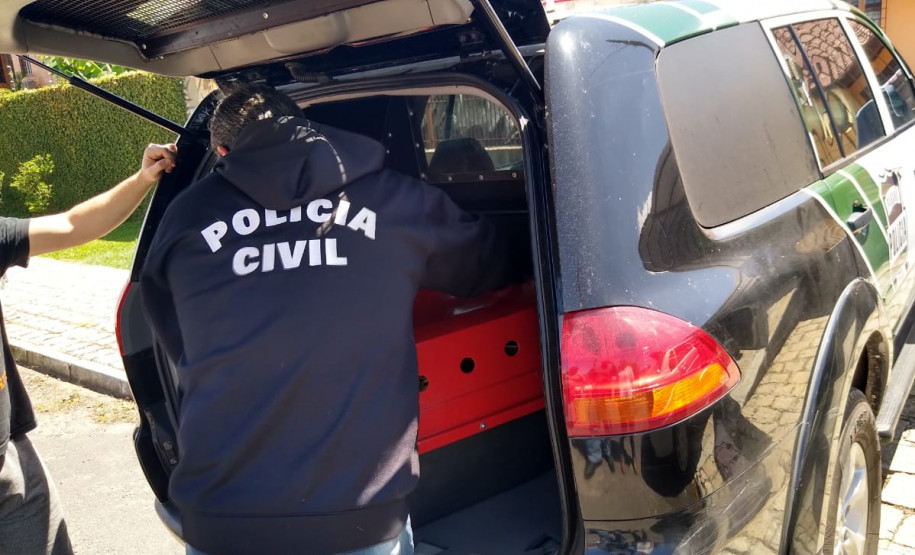 Policial civil acomodando caixa com cobra no interior da viatura