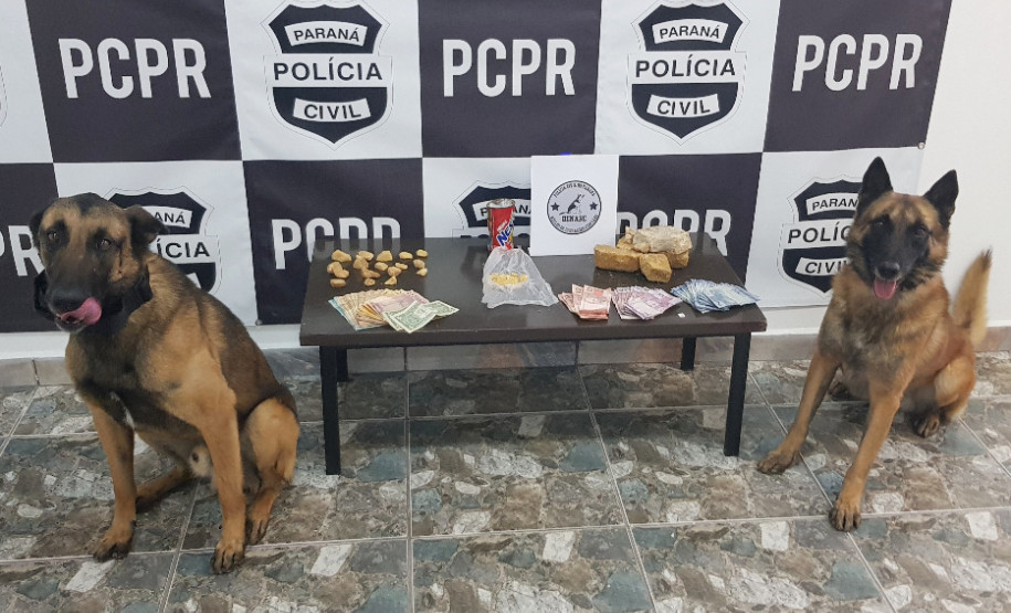Mesa com drogas e dinheiro apreendidos entre dois cães farejadores