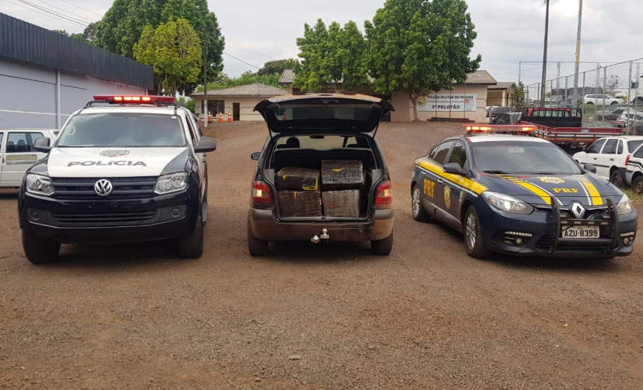 PCPR e PRF apreendem cerca de 240 quilos de maconha em Lindoeste