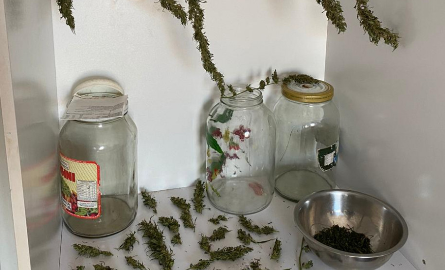 Potes de vidro, tigela e galhos de maconha em prateleira