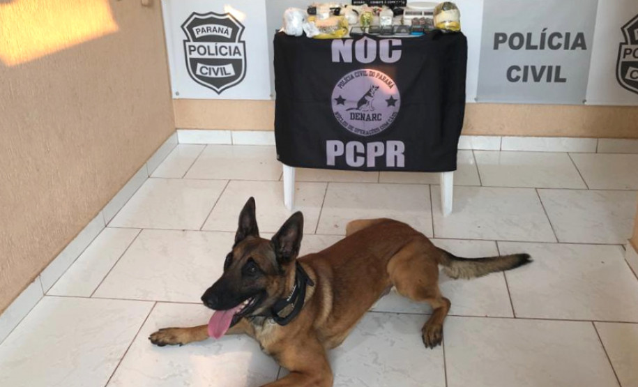 Cão farejador sentado no chão e materiais apreendidos, sobre uma mesa