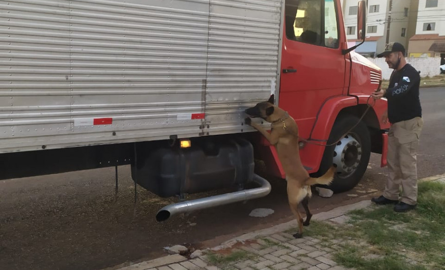 Apreensão de 3,1 toneladas de maconha
