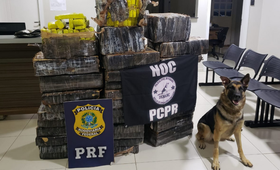 Diversos tabletes de droga apreendida, sobre uma mesa. Em frente, cão farejador e banner da Polícia Civil e PRF