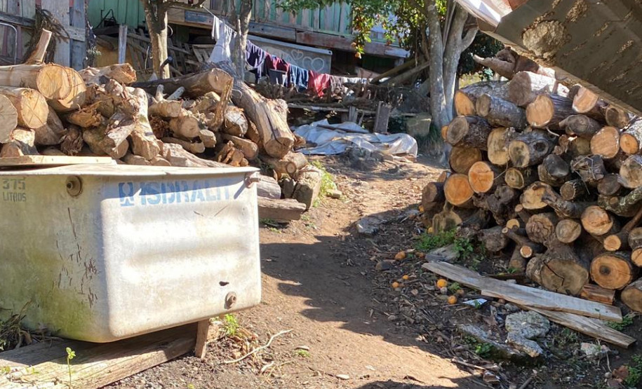 Dezenas de toras de madeiras empilhadas em um terreno