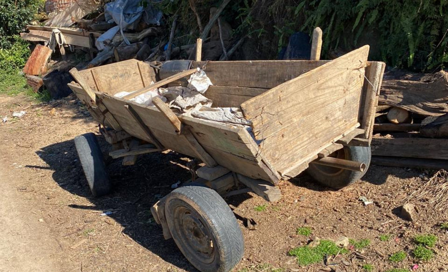 Carroça ao lado de toras de madeira