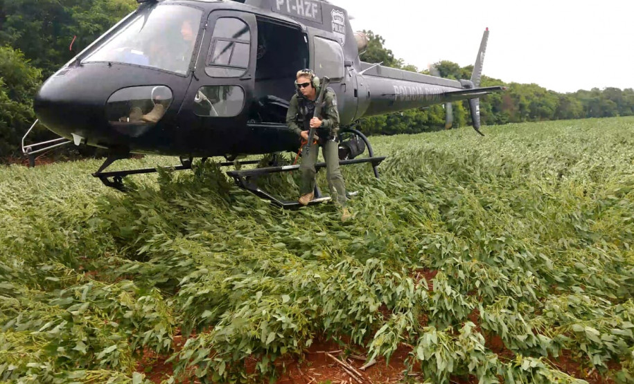 Helicóptero do GOA pousa em plantação e policial acaba de descer na aeronave