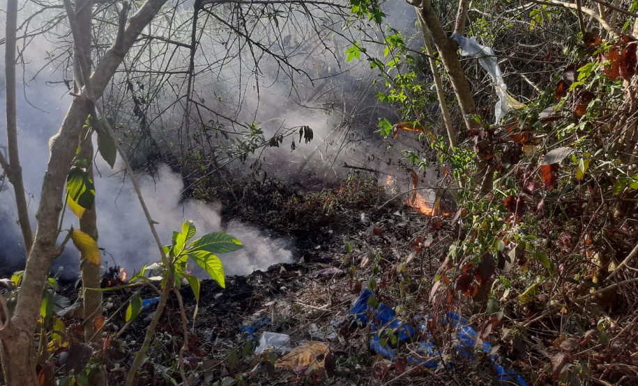 Área com árvores e lixo pegando fogo