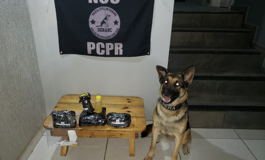 PCPR apreende droga e prende dois suspeitos por tráfico interestadual