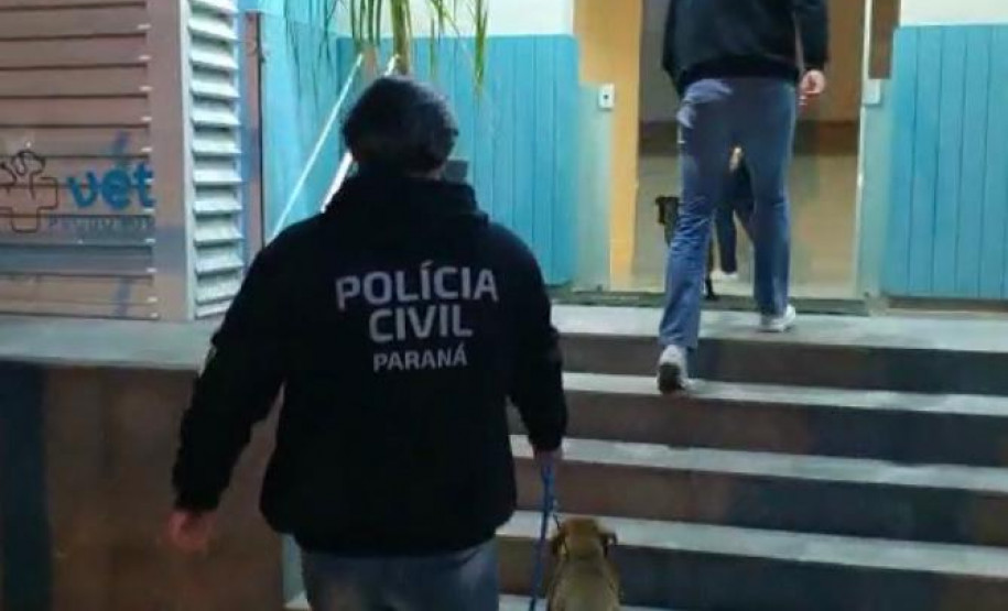 Cachorro recebendo devido cuidado