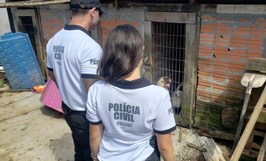 Dois policiais civis observam cães presos em um canil clandestino
