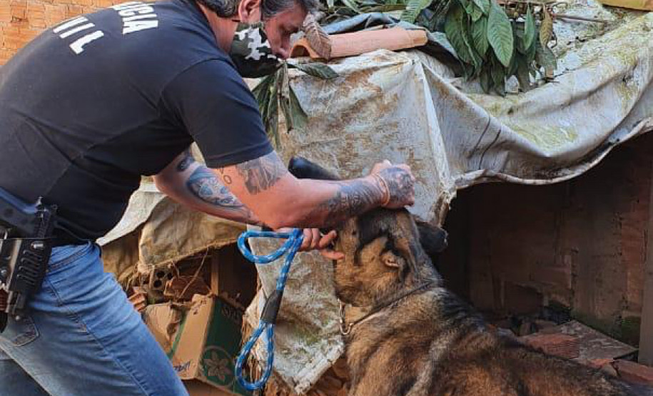 Policial civil com um dos cães resgatados