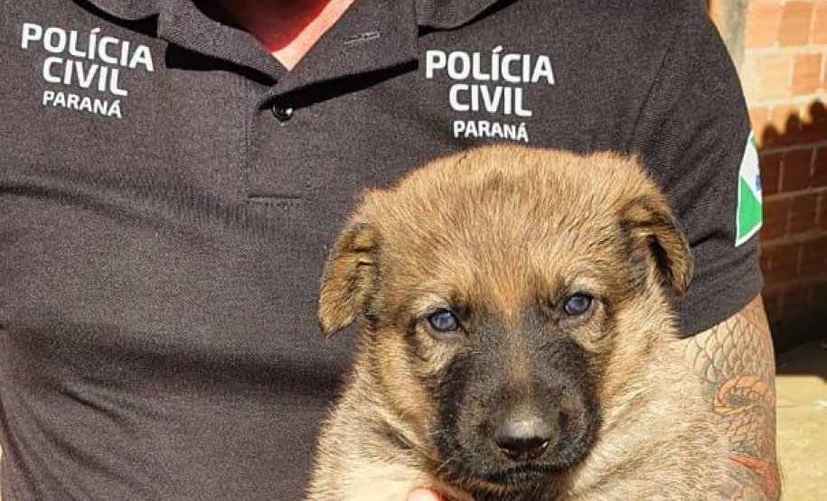 Policial civil segura filhote resgatado