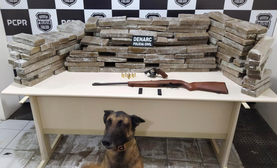 Cão farejador da polícia civil em frente a uma mesa com diversos tabletes de droga e armas