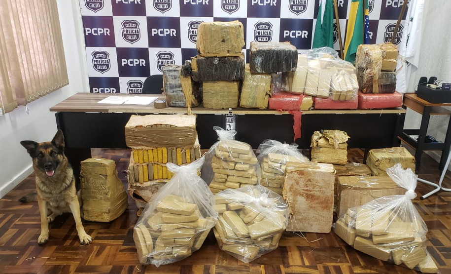 Cão farejador da polícia civil ao lado de diversos pacotes de droga no chão e sobre uma mesa