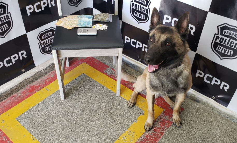 Cão policial da PCPR posa ao lado de material apreendido