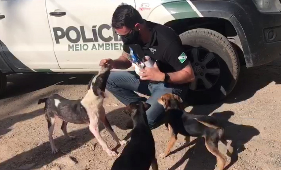 Policial civil alimentando cão resgatado, ao lado de viatura