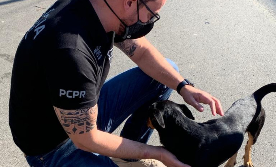 Policial civil com cão resgatado