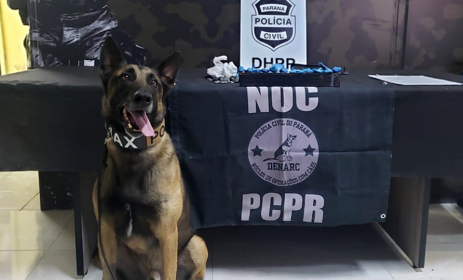Cão policial posa em frente à droga apreendida