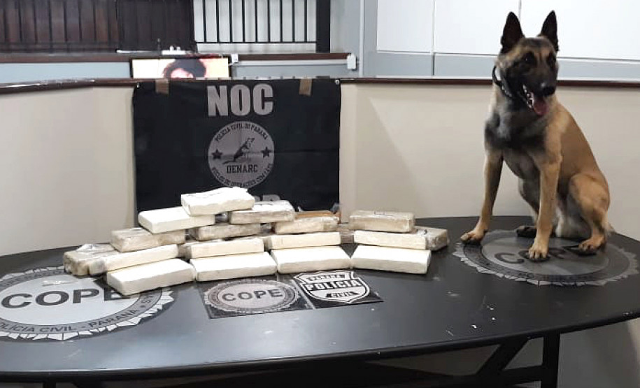 Drogas apreendidas e cão farejador sobre uma mesa