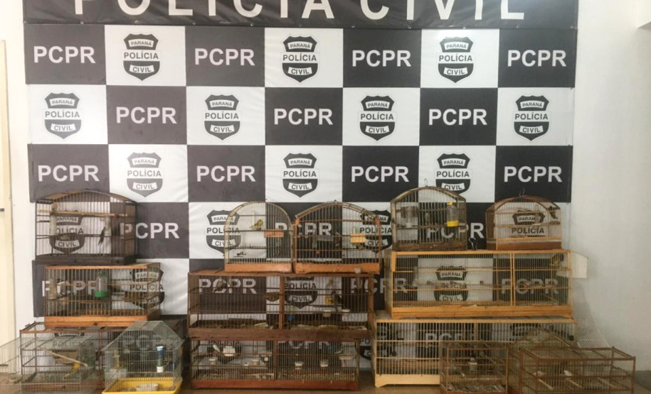 Gaiolas apreendidas com animais silvestres