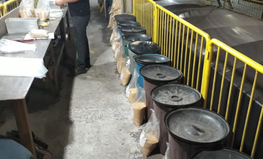 Amostras de farelo enfileiradas em saco para avaliação