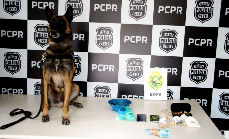 PCPR e PMPR prendem 15 envolvidos com tráfico de drogas