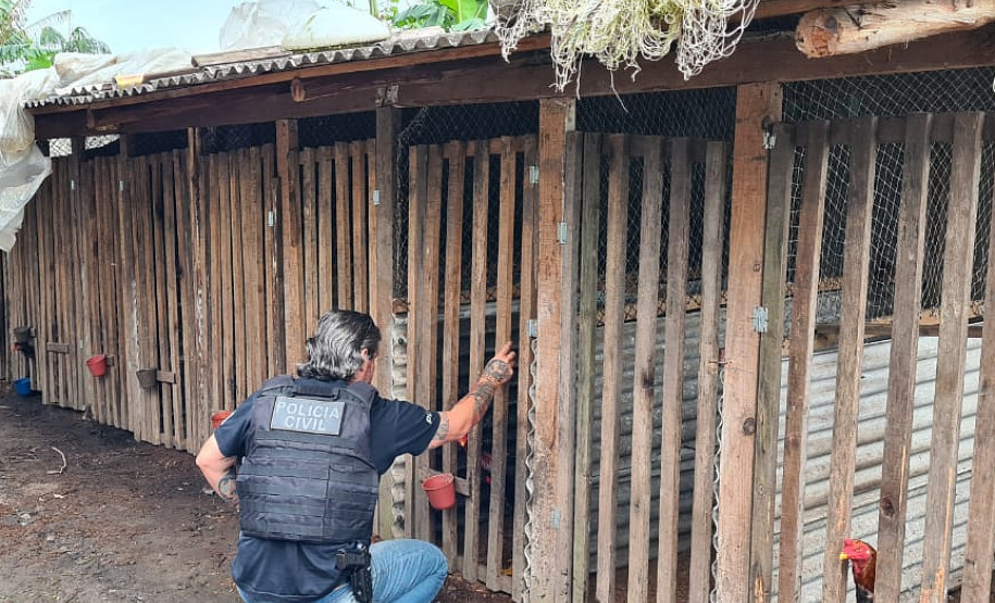 Policial civil observa local de rinha