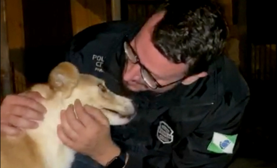 Policial civil com cachorro resgatado por maus-tratos