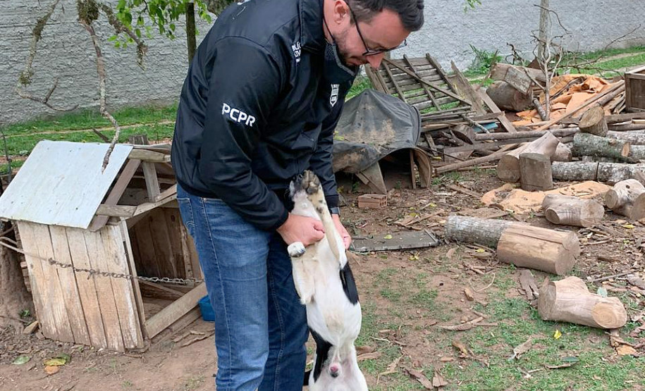 Delegado da policia civil brinca com cachorro resgatado